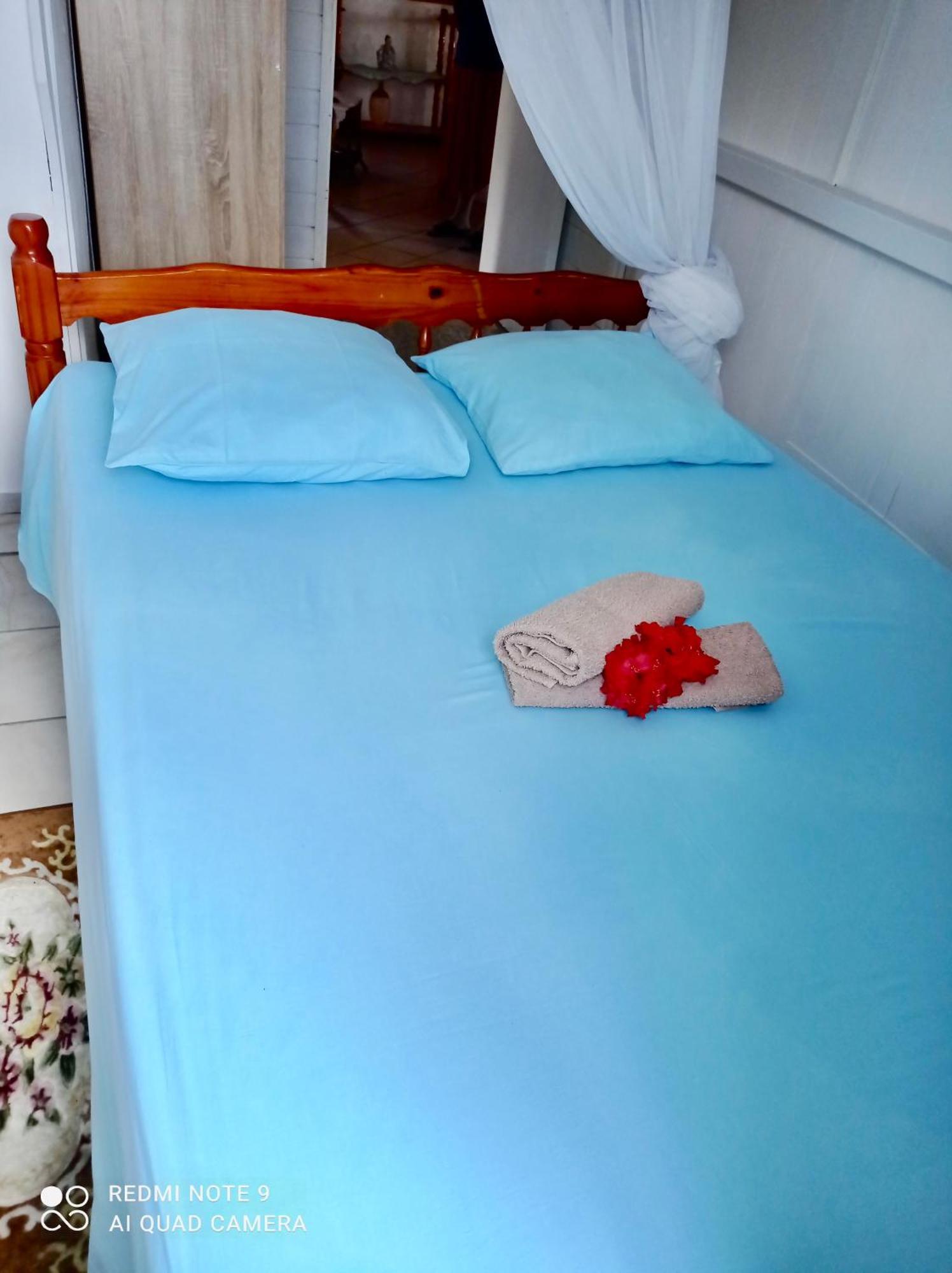 Chez Ninette Pres Des Sources Chaudes Βίλα Bouillante Εξωτερικό φωτογραφία